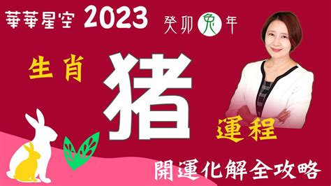 2023屬豬幸運物|解析2023生肖運勢！屬羊、猴、豬和狗請把握兔年最。